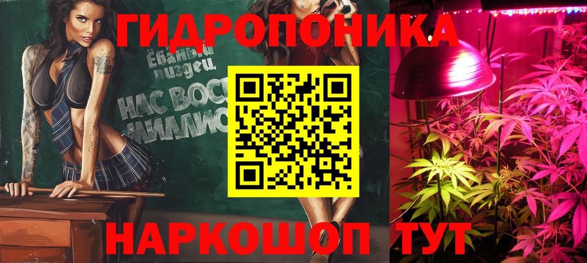 МАРИХУАНА SATIVA & INDICA  Бошки марихуана White Widow  Шишки марихуана планчик  Вход с VPN  Бошки марихуана Bruce Banner  Карпинск 